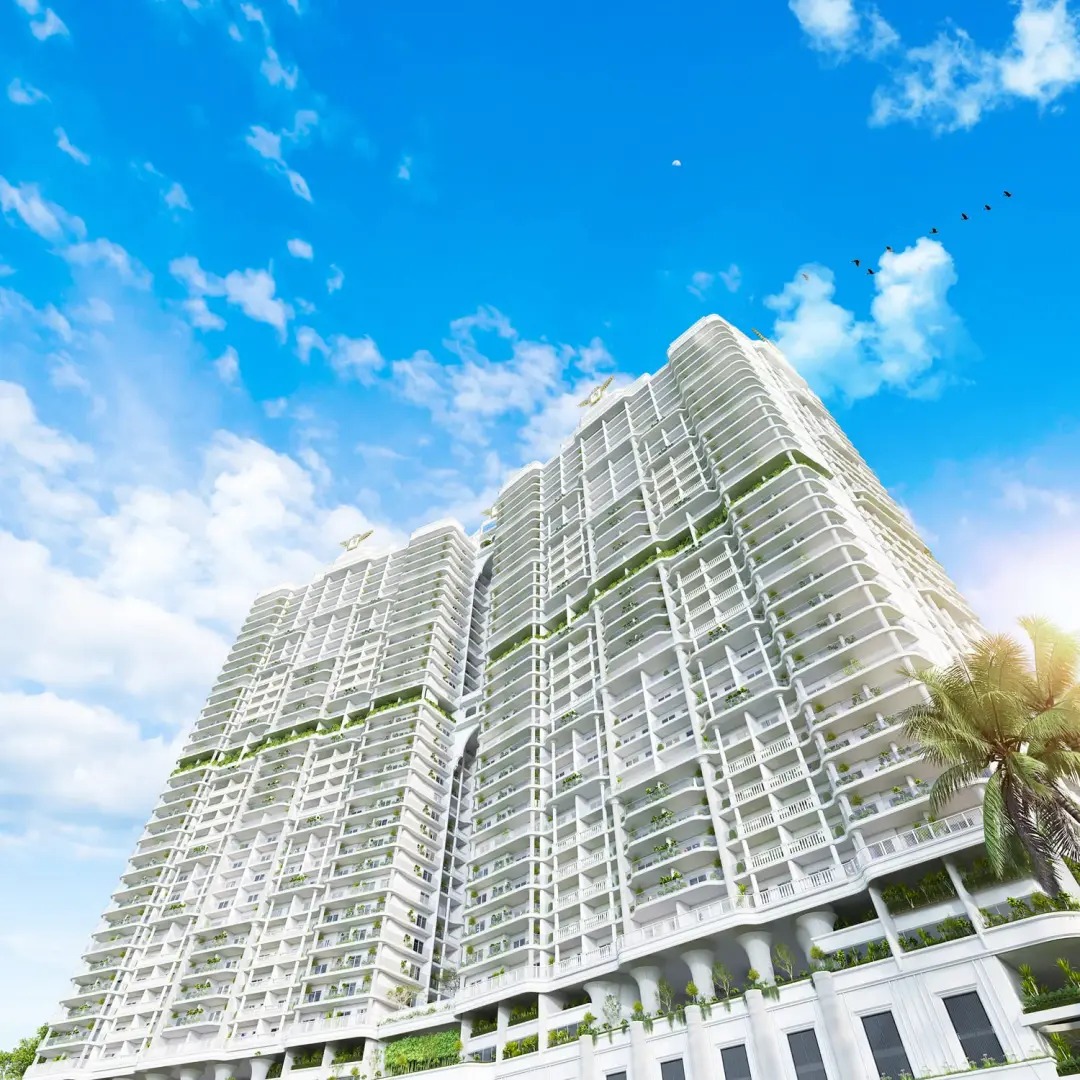 WhatsApp Image 2025-12-11 at 6.20.30 PM